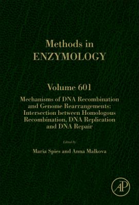 Mechanisms of DNA Recombination and Genome Rearrangements : Intersection Between Homologous Recombination, DNA Replication and DNA Repair