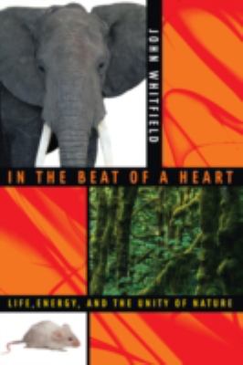 In the Beat of a Heart : Life, Energy, and the Unity of Nature