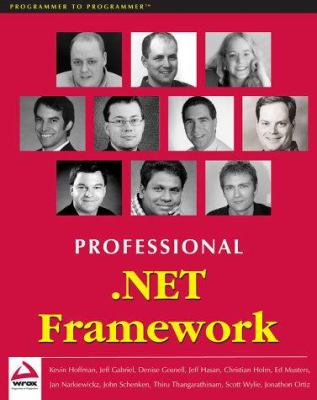 Professional .NET Framework