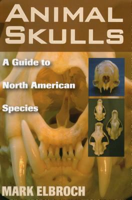 Animal Skulls : A Guide to North American Species