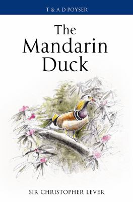 The Mandarin Duck