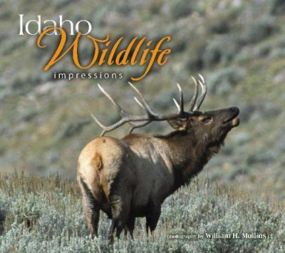 Idaho Wildlife Impressions