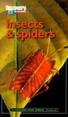 Insects and Spiders