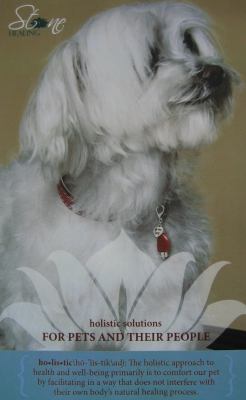 Dog Stone Massage Education : Solution for Healthy Living