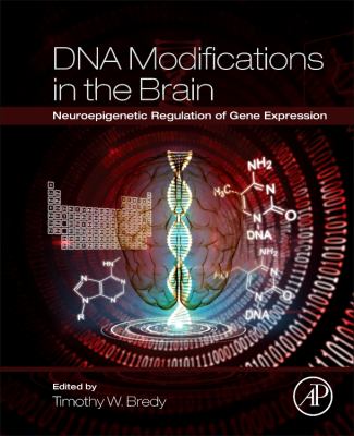 DNA Modifications in the Brain : Neuroepigenetic Regulation of Gene Expression
