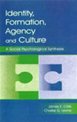 Identity, Formation, Agency, and Culture : A Social Psychological Synthesis