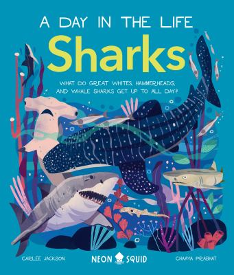 Sharks (a Day in the Life) : What Do Great Whites, Hammerheads, and Whale Sharks Get up to All Day?