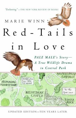 Red-Tails in Love : PALE MALE's STORY--A True Wildlife Drama in Central Park