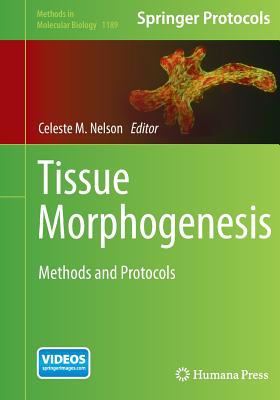 Tissue Morphogenesis : Methods and Protocols