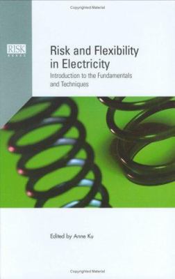 Risk and Flexibility in Electricity : Introduction to the Fundamentals and Techniques