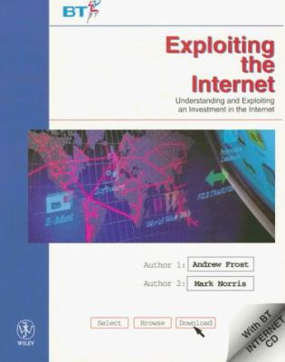 Exploiting the Internet : Understanding and Exploiting an Investment in the Internet