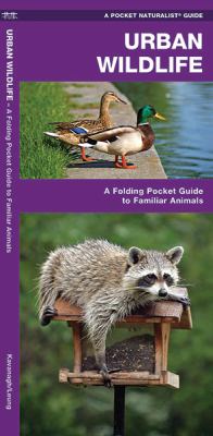 Urban Wildlife : A Folding Pocket Guide to Familiar Species