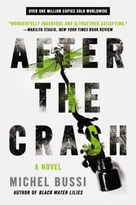 After the Crash : A Novel