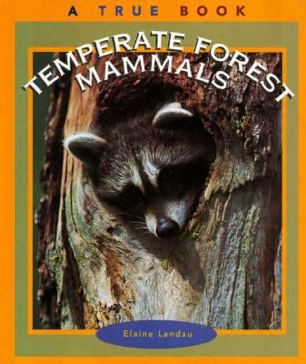 Temperate Forest Mammals