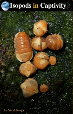 Isopods in Captivity