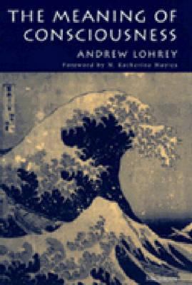 The Meaning of Consciousness