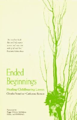 Ended Beginnings : Healing Childbearing Losses