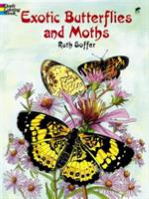 Exotic Butterflies and Moths