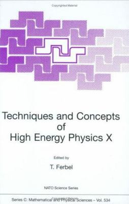Techniques and Concepts of High Energy Physics X