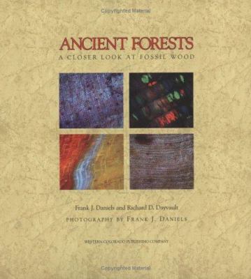 Ancient Forests : A Closer Look at Fossil Wood