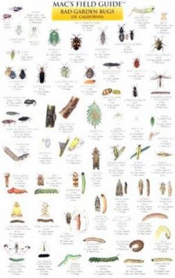 California Garden Bugs