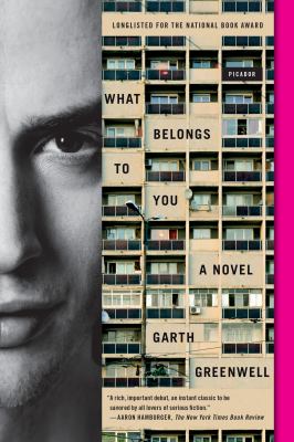 What Belongs to You : A Novel