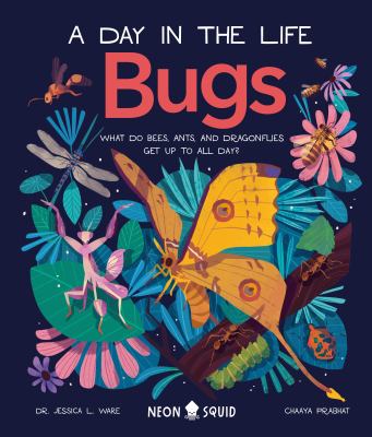 Bugs (a Day in the Life) : What Do Bees, Ants, and Dragonflies Get up to All Day?