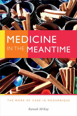 Medicine in the Meantime : The Work of Care in Mozambique