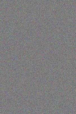 Dictionary of Birds of the United States