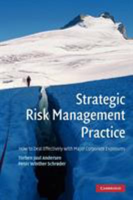 Strategic Risk Management Practice : How to Deal Effectively with Major Corporate Exposures