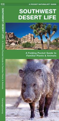 Southwestern Desert Life : A Folding Pocket Guide to Familiar Plants and Animals