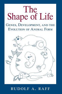 The Shape of Life : Genes, Development, and the Evolution of Animal Form