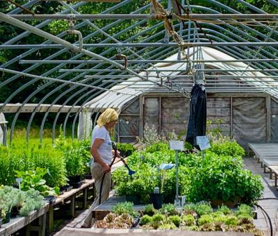 A Storm in the Stars : A Novel