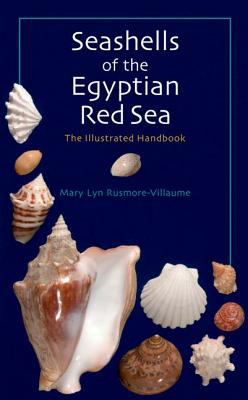 Seashells of the Egyptian Red Sea : The Illustrated Handbook