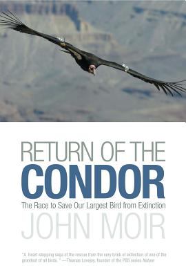 Return of the Condor : The Race to Save Our Largest Bird from Extinction