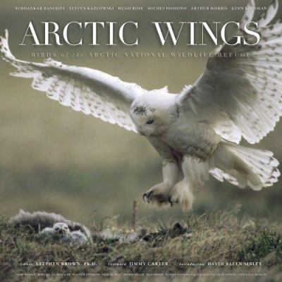 Arctic Wings : Birds of the Arctic National Wildlife Refuge