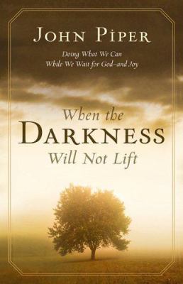 When the Darkness Will Not Lift : Doing What We Can While We Wait for God--And Joy