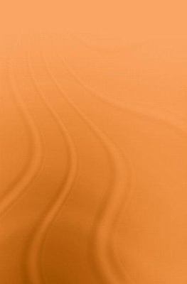 From Rabin to Netanyahu : Israel's Troubled Agenda