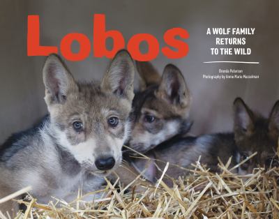 Lobos : A Wolf Family Returns to the Wild
