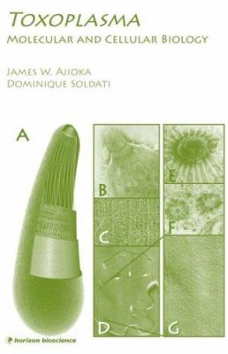 Toxoplasma : Molecular and Cellular Biology