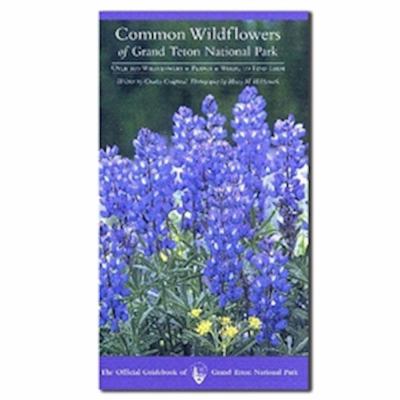 Common Wildflowers of Grand Teton National Park : Over 100 Wildflowers and Plants and Where to Find Them