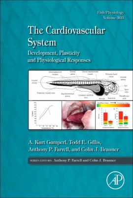 The Cardiovascular System - Phenotypic and Physiological Responses