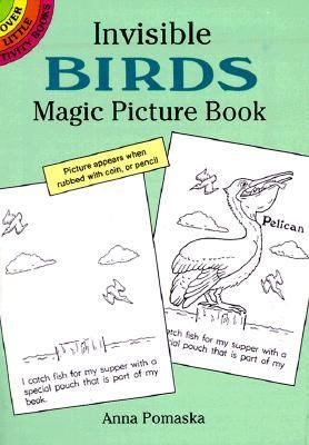 Invisible Birds Magic Picture Book