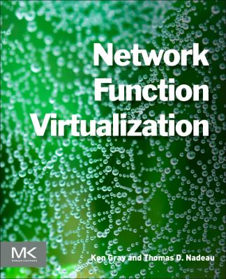 Network Function Virtualization : Service Function Chaining