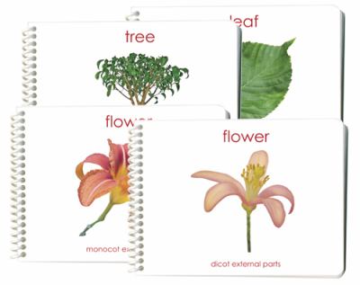 Botany External Anatomy Book Set (4 Book Set including Dicot Flower, Monocot Flower, Leaf, and Tree)