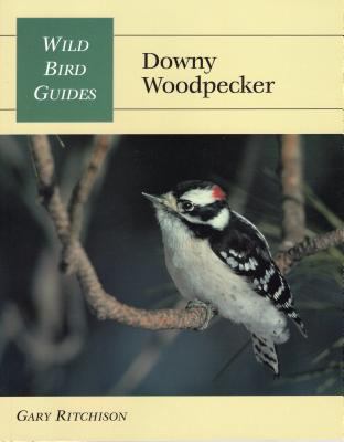 Downy Woodpecker