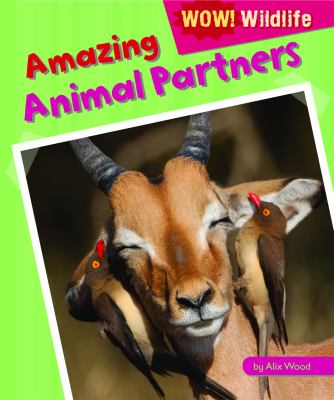 Amazing Animal Partners