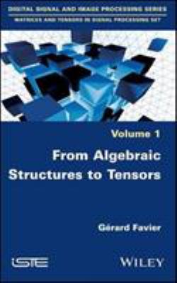 From Algebraic Structures to Tensors