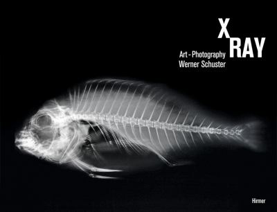 X-Ray : Art-Photography