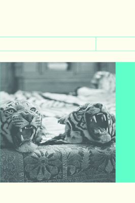 The Powers of the False : Reading, Writing, Thinking Beyond Truth and Fiction